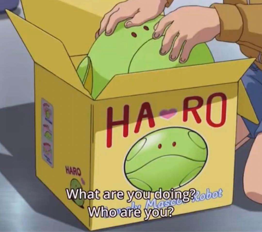 RARE 1/1 HARO PC Case Gundam Limited1000 - メルカリ