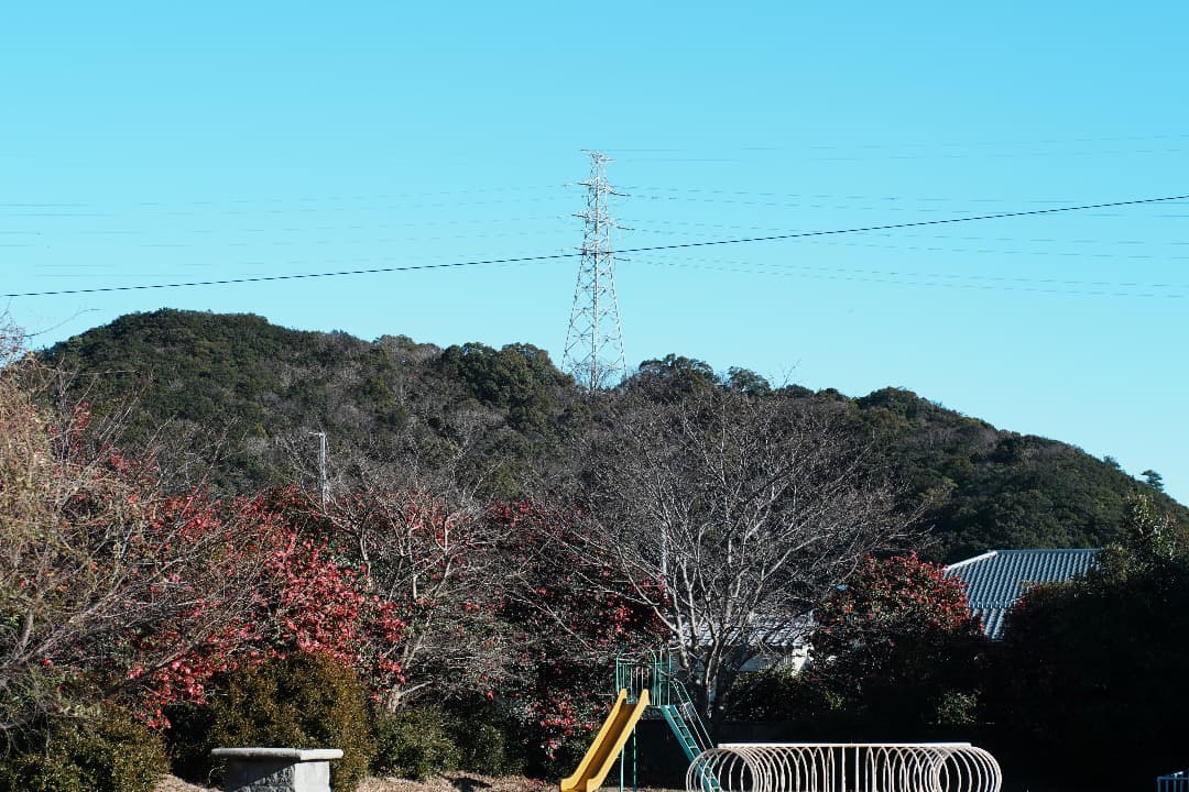 整備テスト】オリンパス Zuiko Auto-S 40mm F1.4 379 - メルカリ