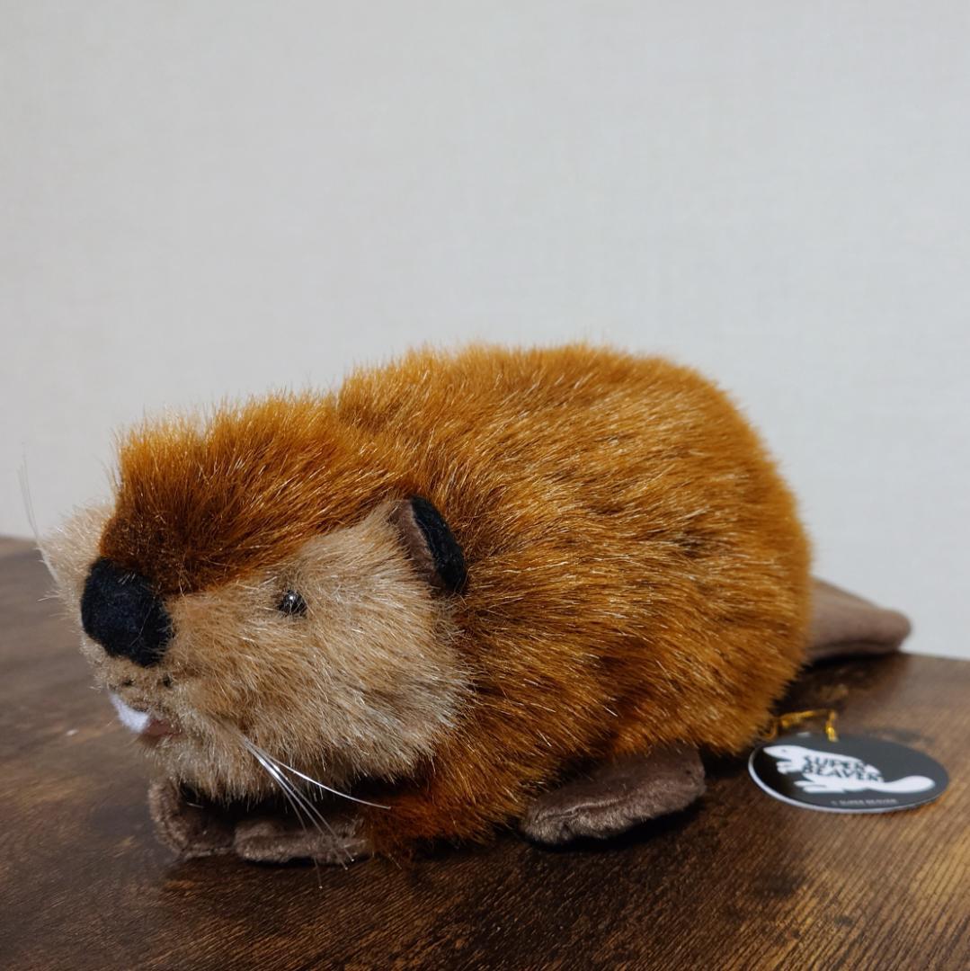 スーパービーバーちゃん ぬいぐるみ SUPER BEAVER - メルカリ