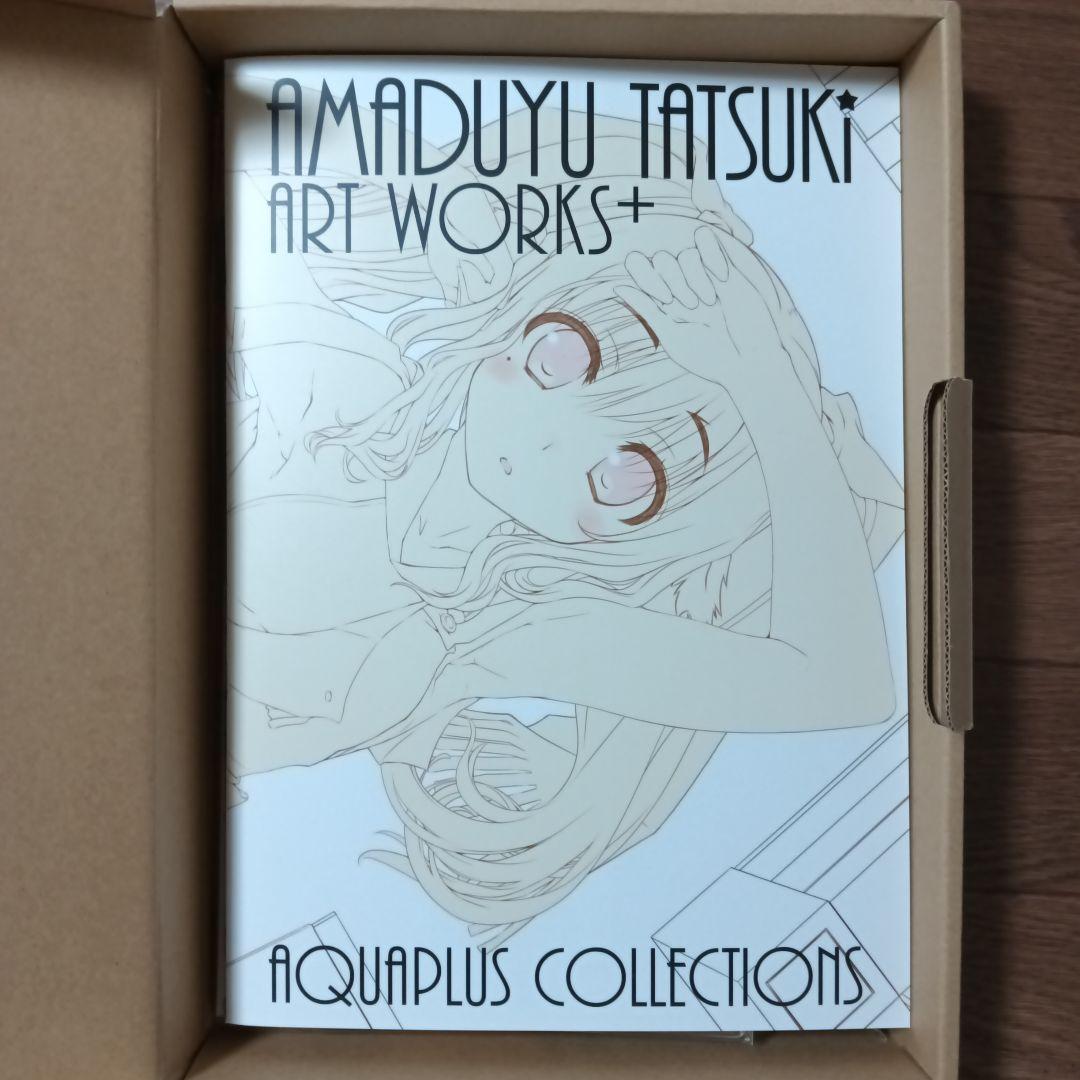 限定版　AMADUYU TATSUKI ART WORKS 甘露樹画集