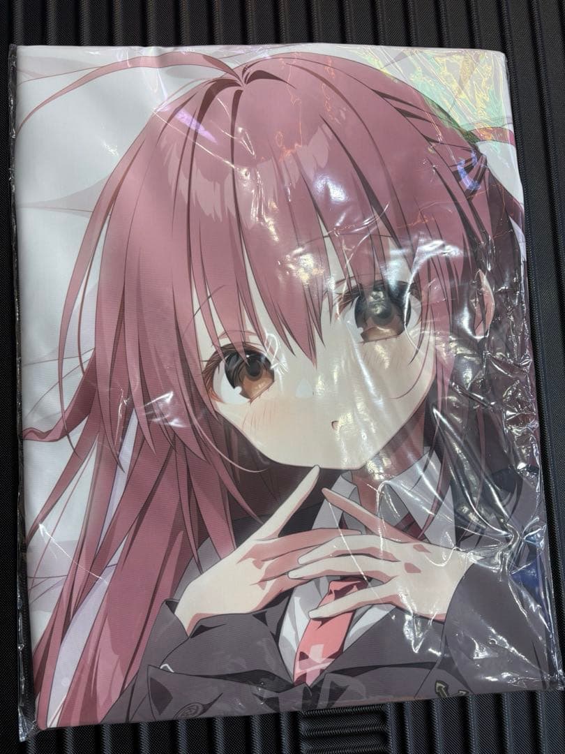 ランサー クー・フーリンFate stay night 御朱印帳 神田明神コラボ