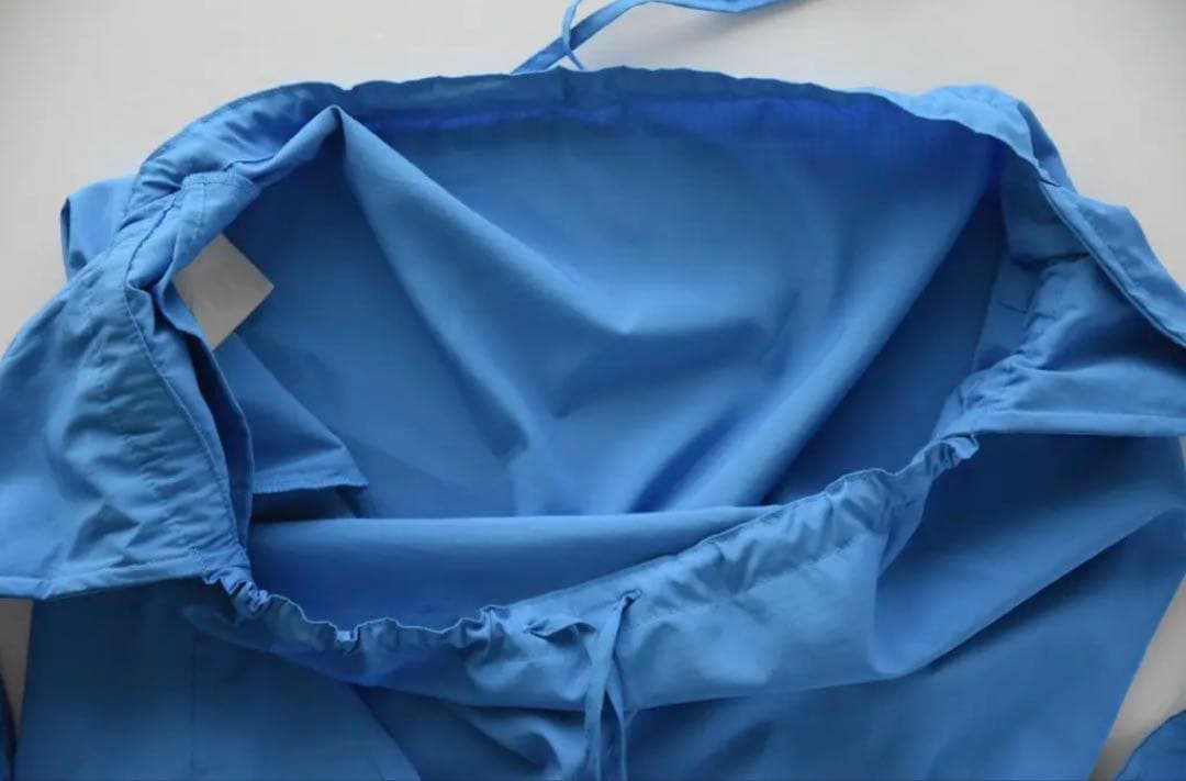 《未使用》希少 patagonia パタゴニア　エコバッグ　キャリーエールバッグ