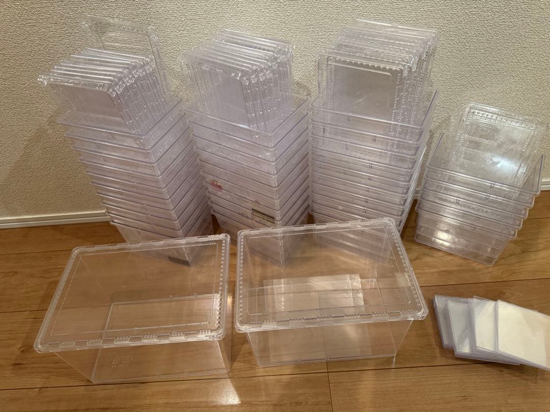 【引退品】クリアスライダーセット クリアースライダー 昆虫 飼育ケース ラージ」の人気商品一覧 | 安い