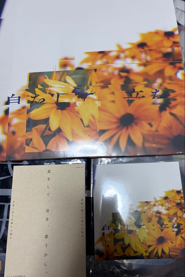 「息をして。音を、歌うから。」アメリカ民謡研究会　レコード＋CD＋本　未開封品 息をして。音を、歌うから。(レコード+CD+DL) - アメリカ民謡研究会