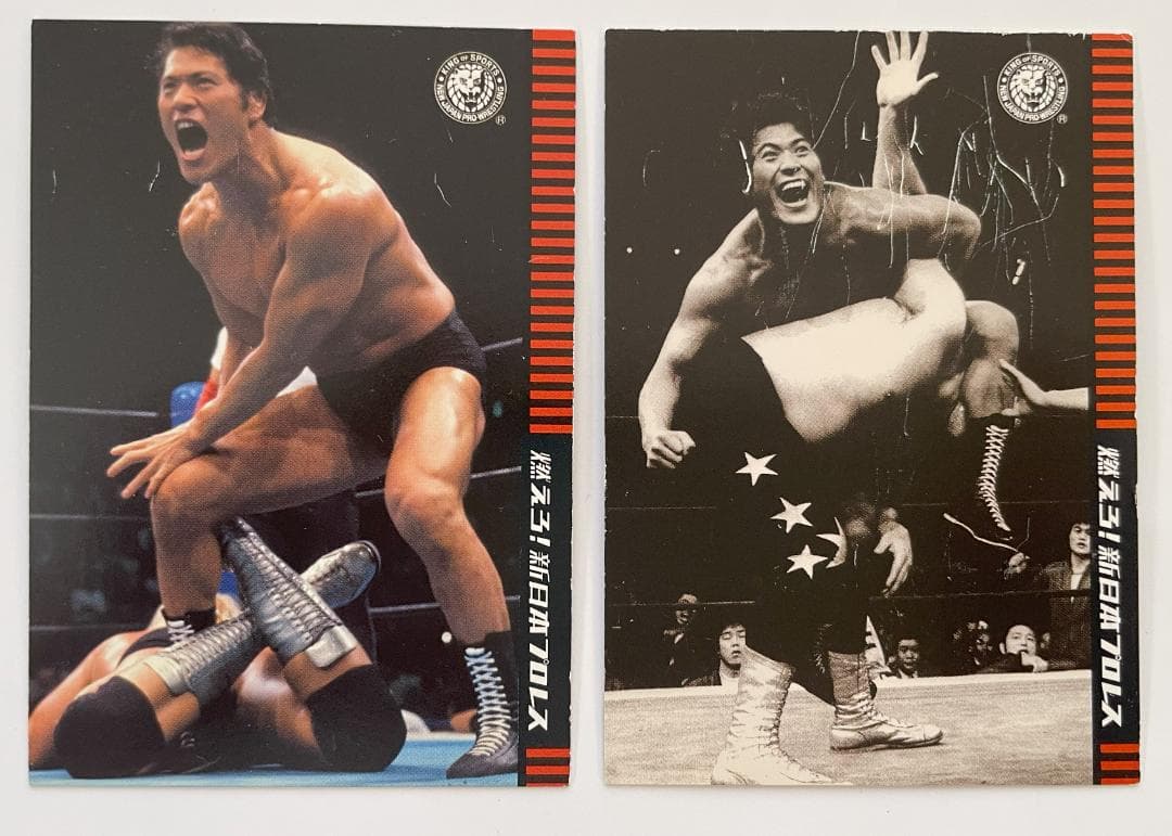 燃えろ！新日本プロレス vol.1～vol.11 DVD (冊子+カード付き)