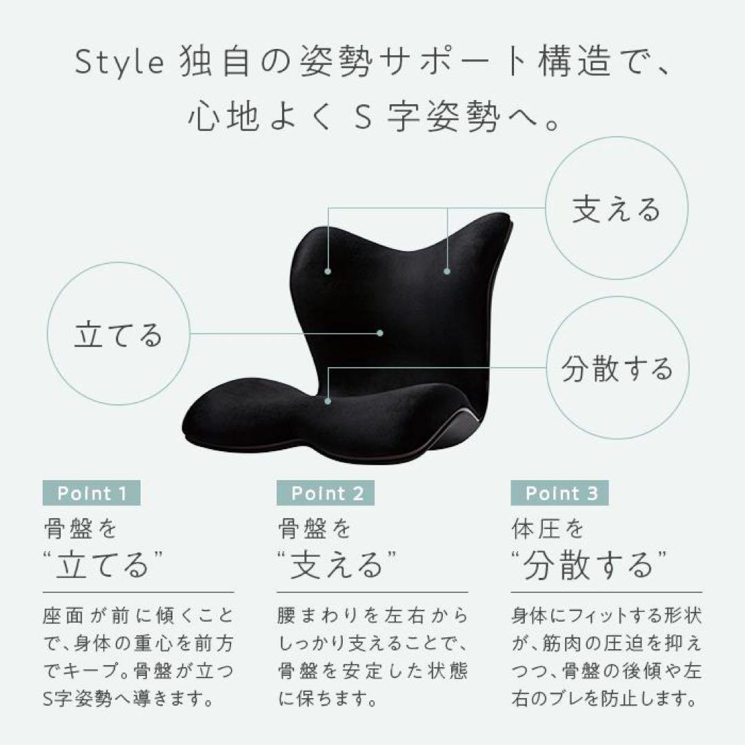 Style PREMIUM DX （スタイルプレミアムデラックス）