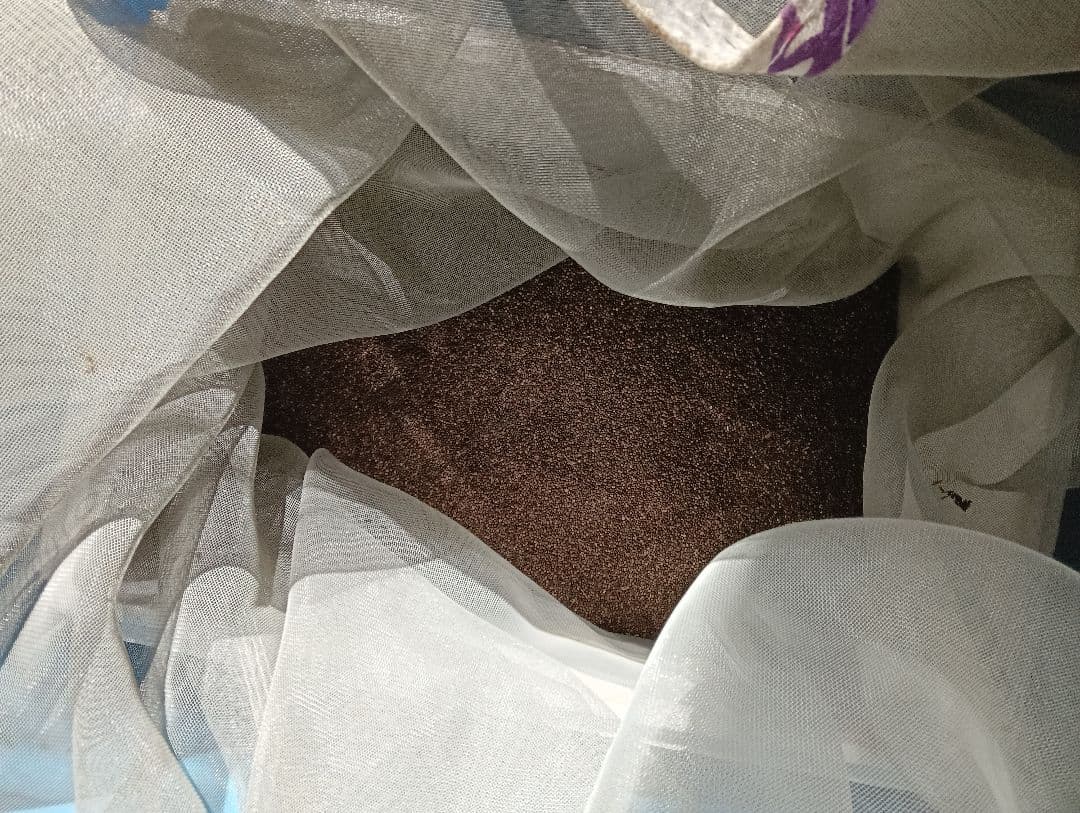 エゴマの実5キロ 会津産えごまの実 150g | 満田屋オンラインショップ