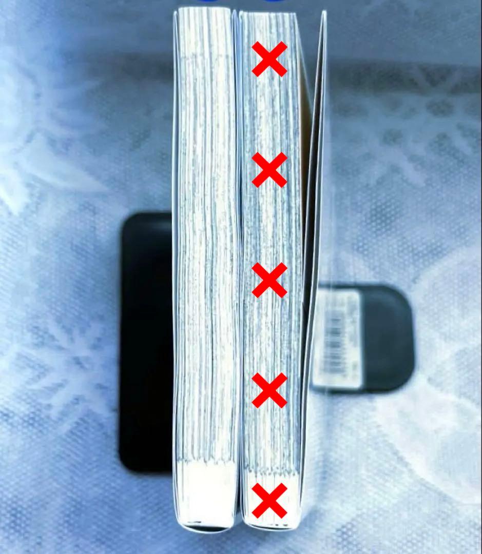 ☆専用☆「だって望まれない番ですから2巻」