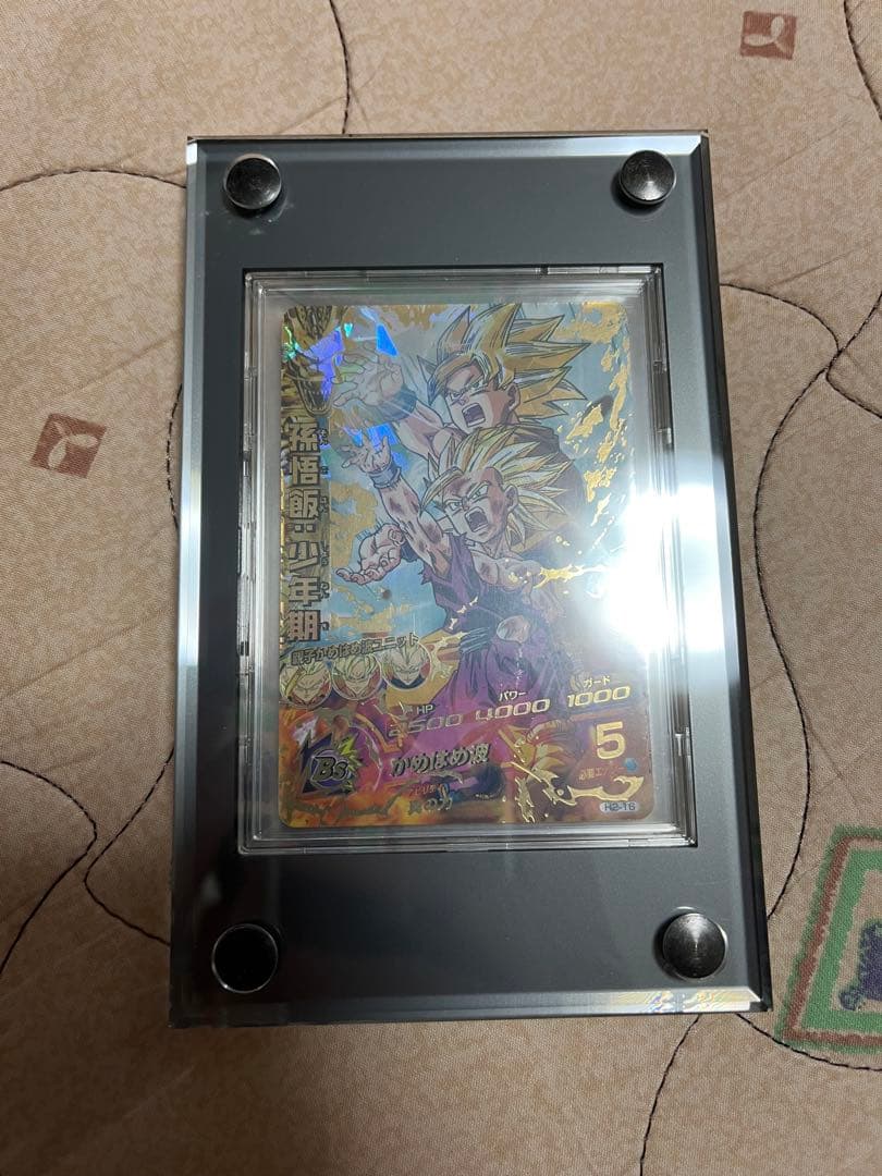 H2-16 孫悟飯:少年期 本家 微細な白かけあり H2-16 孫悟飯:少年期 本家 微細な白かけあり - メルカリ