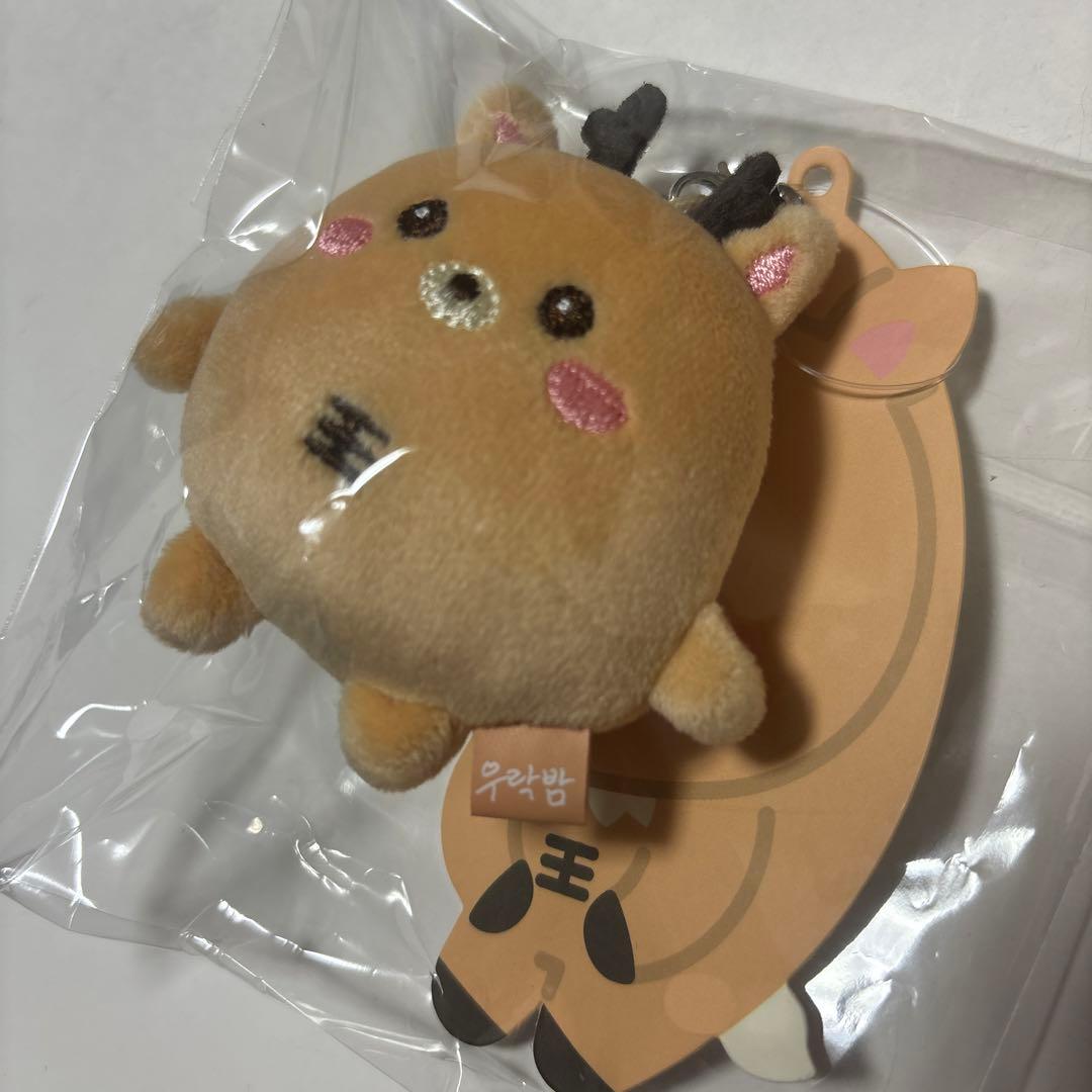 ウラッバム ソンチャン ミニドール RIIZE キーホルダー 新品未開封