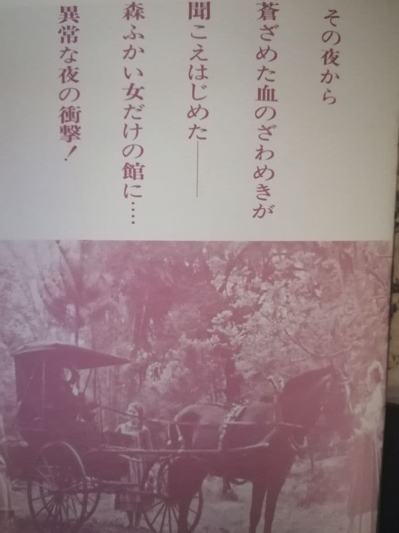 クリント・イーストウッド 白い肌の異常な夜 パンフレット - メルカリ