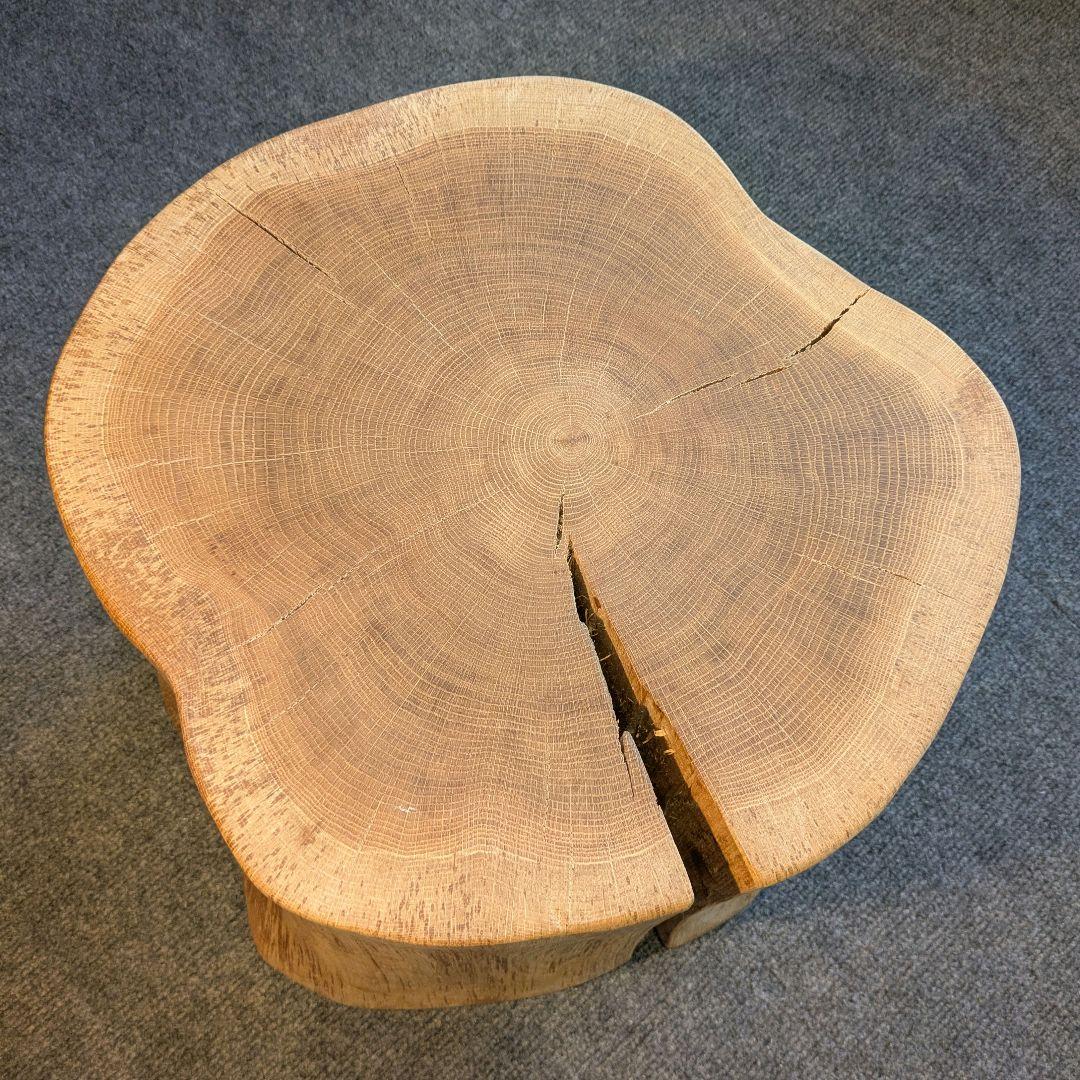 3104様専用 ミズナラ 水楢 天然木 切り株 丸太 輪切り 高さ約28㎝