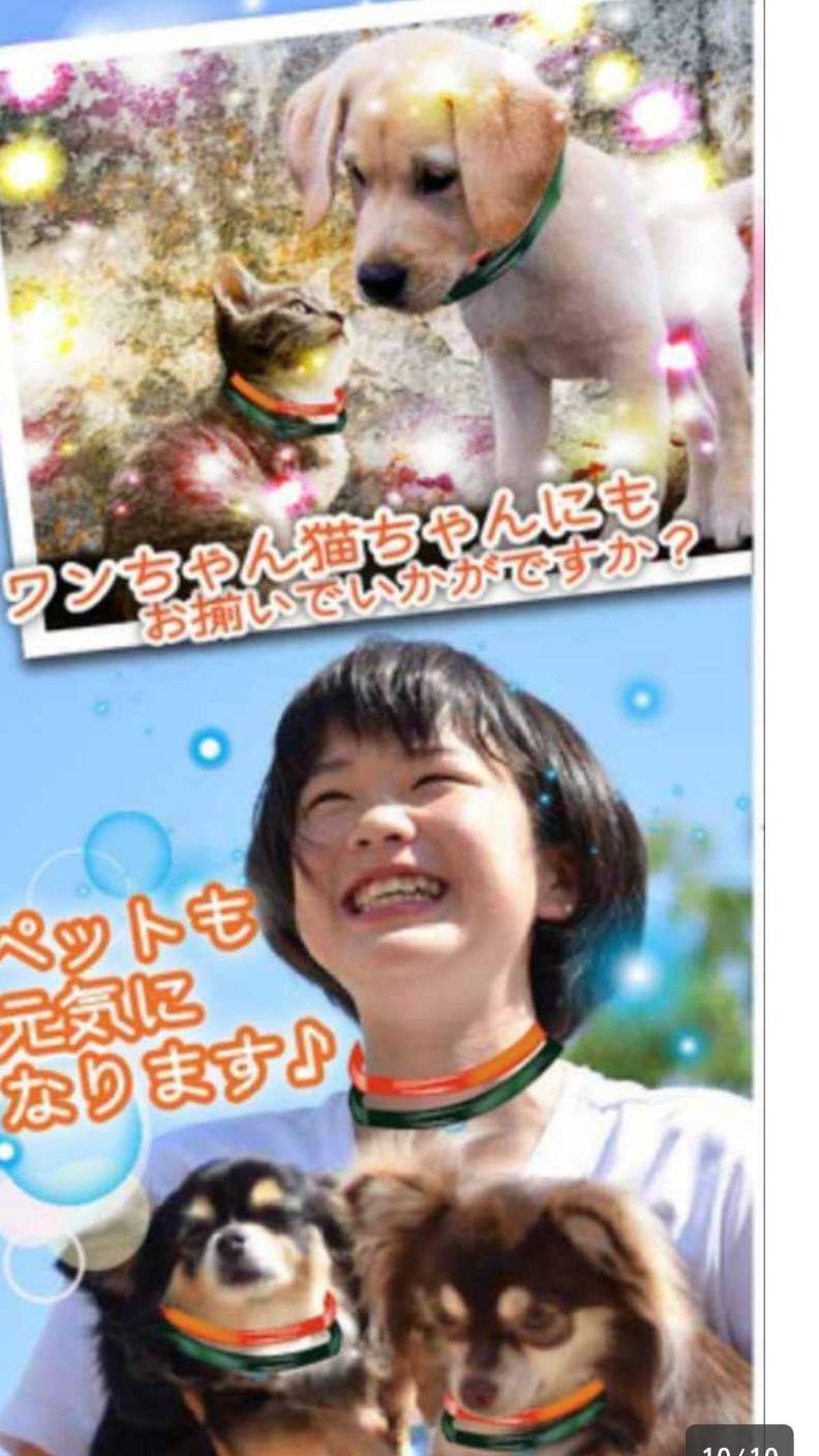 高波動液入り　ヴァルナ・チューブ　【腰用】　身につけるだけのスーパー健康法！