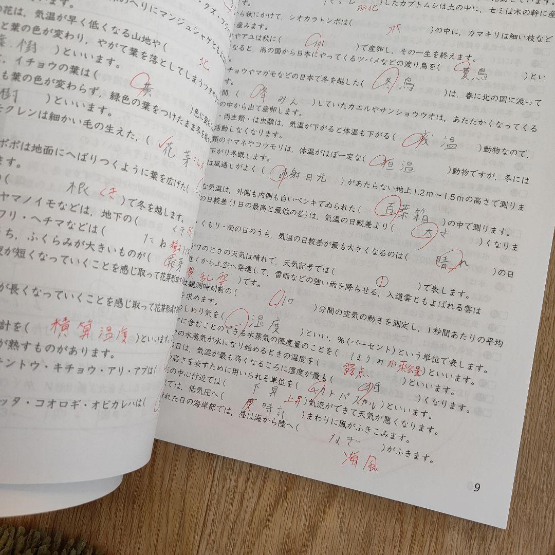 2025年 小6 春期講習会 教材 4冊セット 早稲田アカデミー - メルカリ