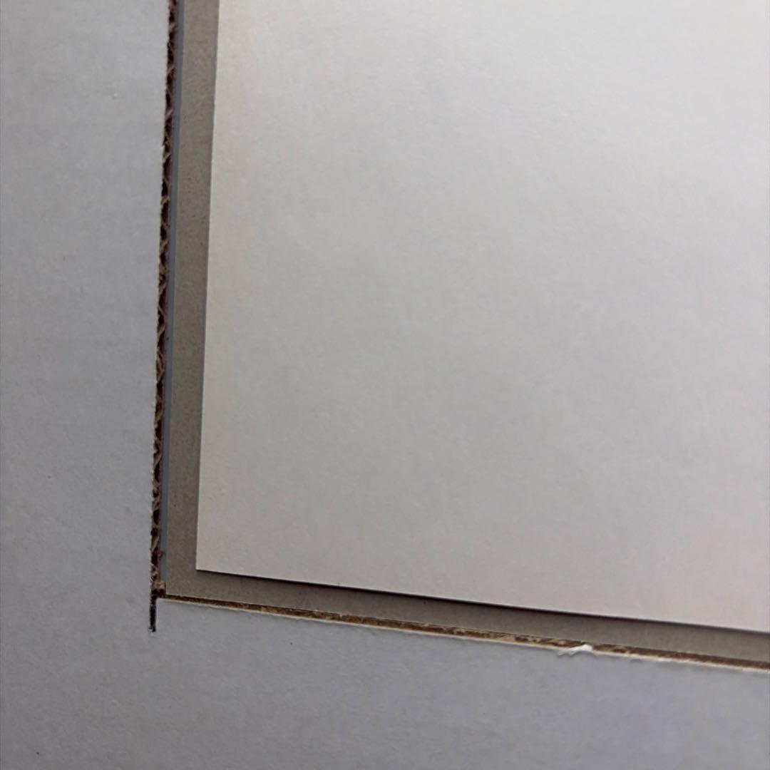 林原めぐみ直筆サイン色紙 エヴァンゲリオン綾波レイイラスト(額縁付き