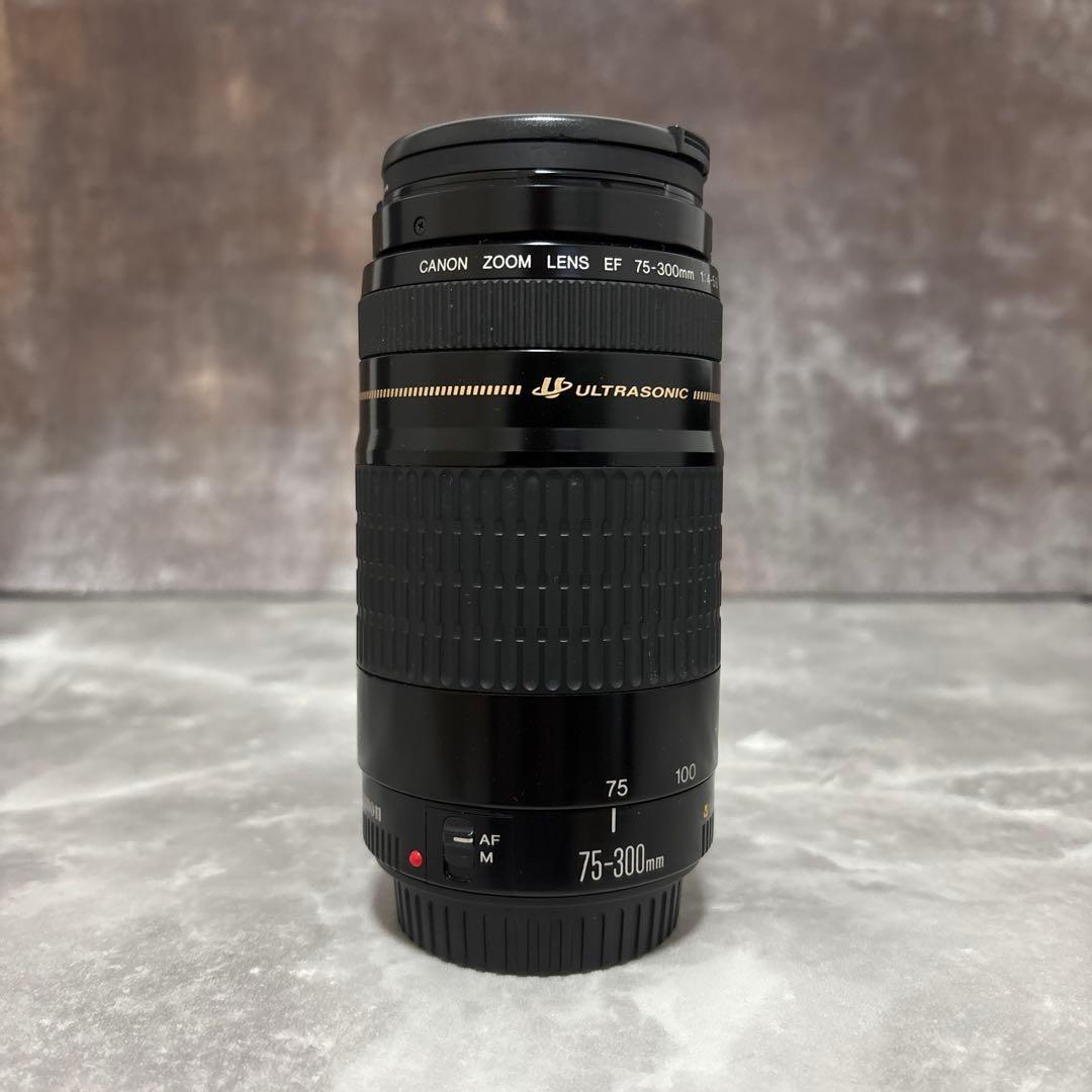 【美品・完動品】Canon EF 75-300mm f/4-5.6 USM