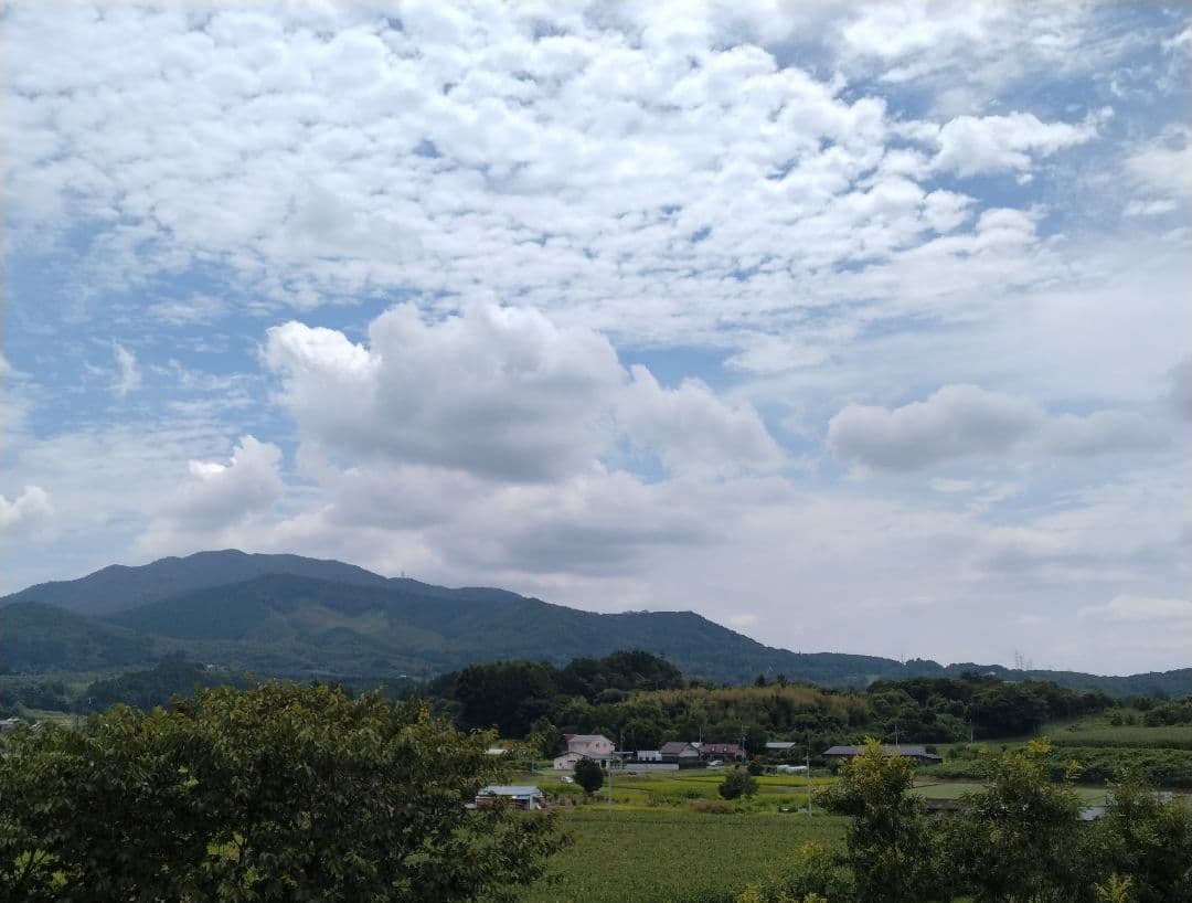 booo ラ・プレシア パーフェクトローション 125mL ラ・プレシア パーフェクトローション 125ML : Peace Shop - 通販