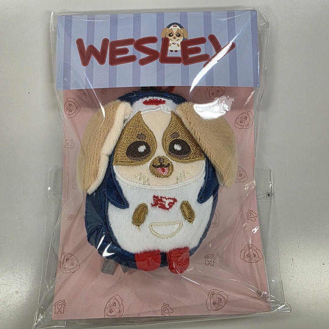 Wesley】TINY FRIENDS DOLL KEYCHAIN - メルカリ