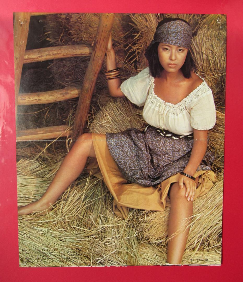 かたせ梨乃 切り抜きポスター（小）1枚 - メルカリ