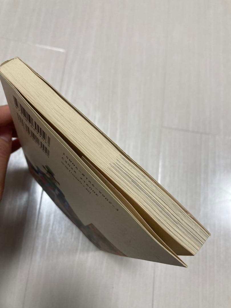 ユーラシア大陸放浪途上 (旅行ガイドにないアジアを歩く) 澤村浩行 梨の木舎