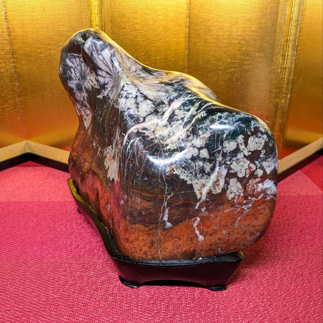 菊花石 岐阜県根尾谷産4.9㌔ 鑑賞石 観賞石 水石 盆石 天然石 三蓋松