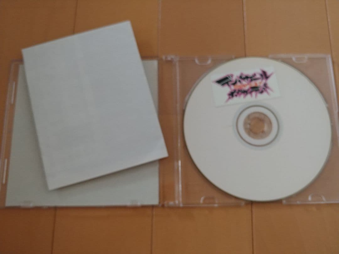 電波少女　ボウガイデンパ