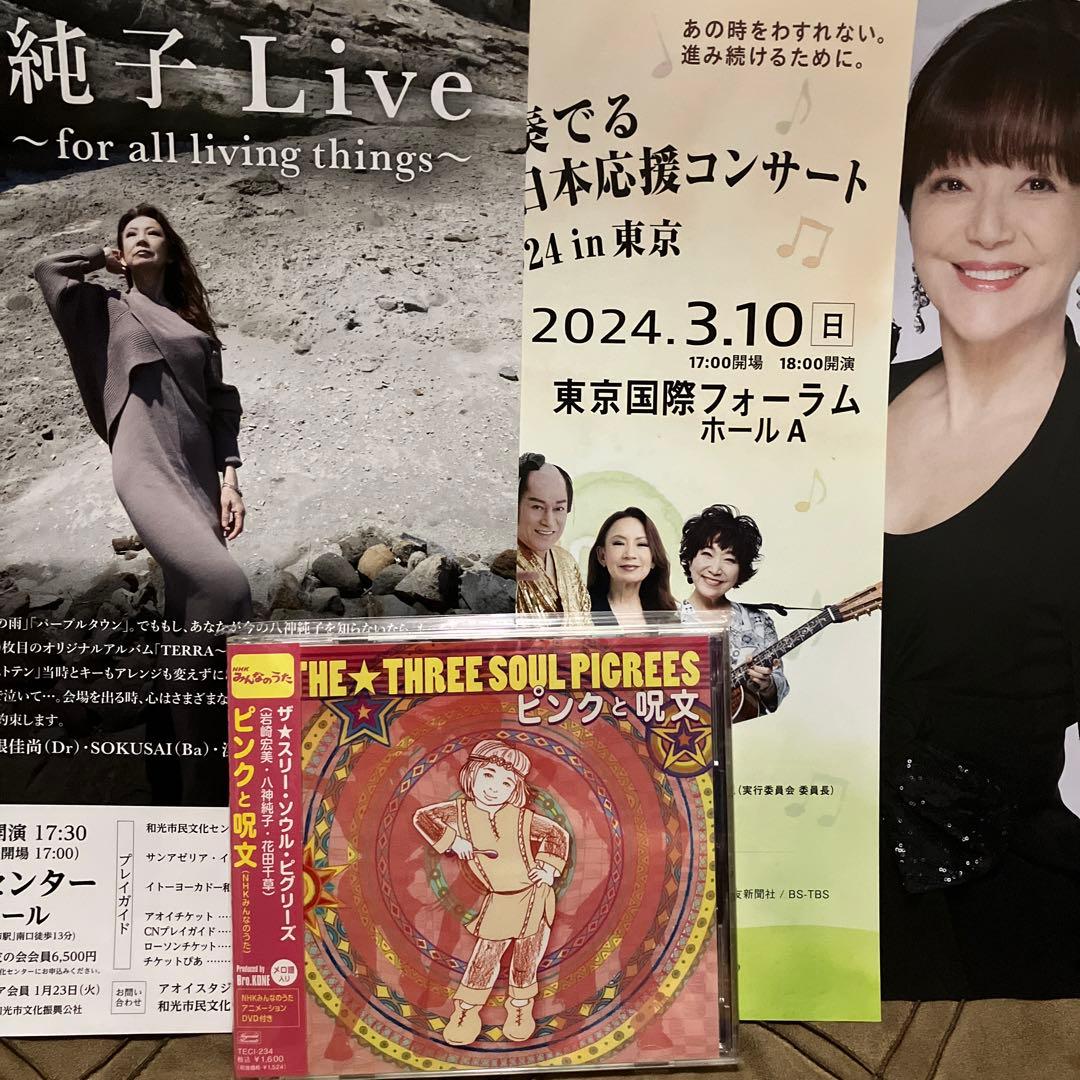 NHKみんなのうた 岩崎宏美,八神純子,花田千草「ピンクと呪文」DVD付