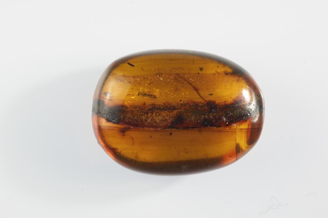 ZB323虫入り琥珀化石 ミャンマー カムティかタナイ産 9900万年前