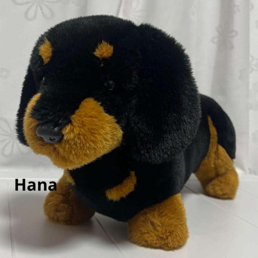 激レア⁉︎ Animal Alley ダックスフンド ぬいぐるみ 黒 インテリア