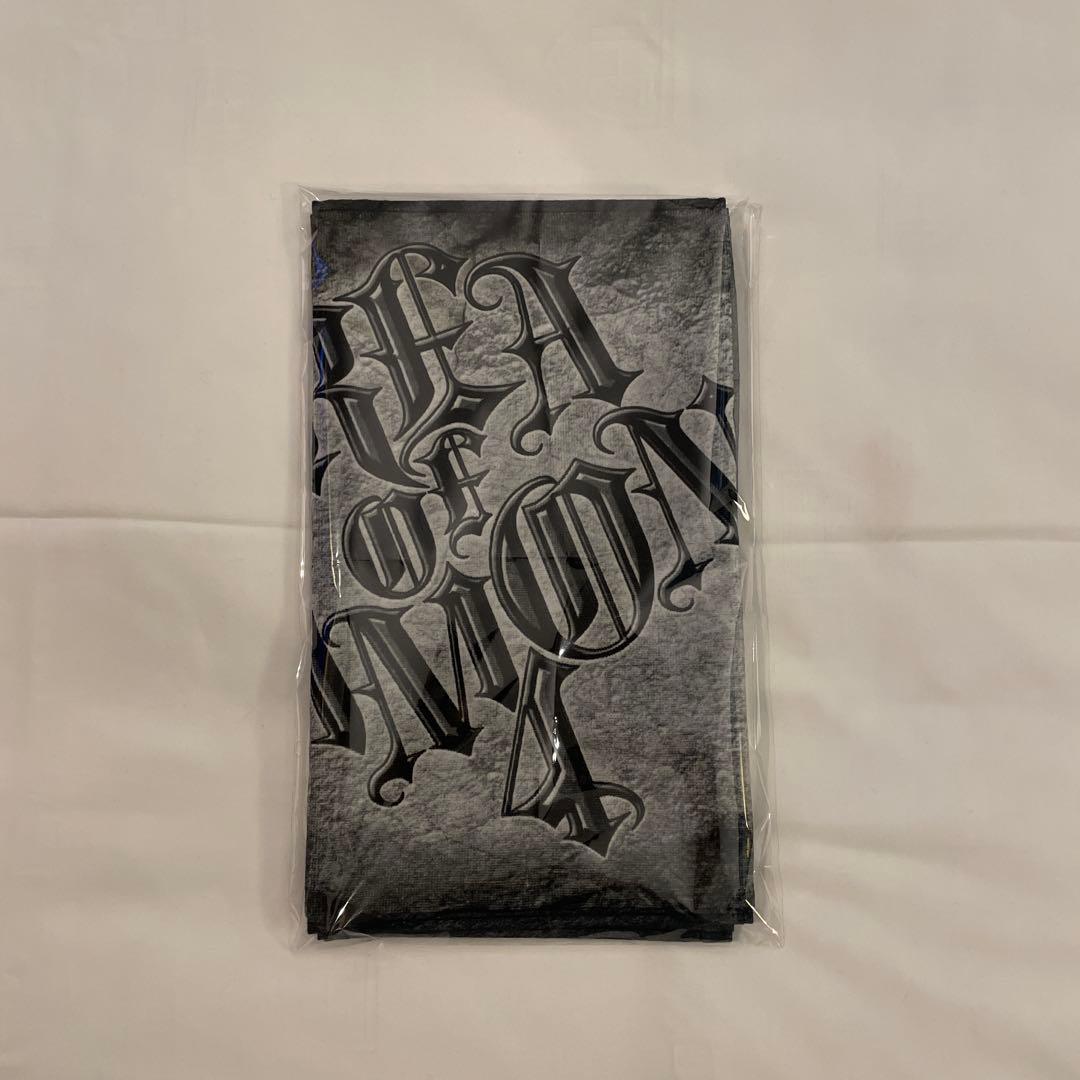 ちゃんみな ライブグッズ タオル Area of Diamond4 AOD4 - メルカリ