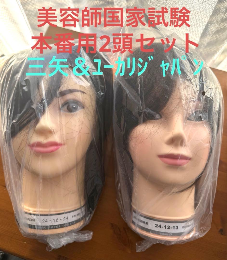 ♥️【新品】美容師試験⭐️本番用カットウィッグ三矢⭐️ユーカリジャパン♥️ カットウィッグ 美容師 マイスター 国家試験 練習 美容師国家試験 練習