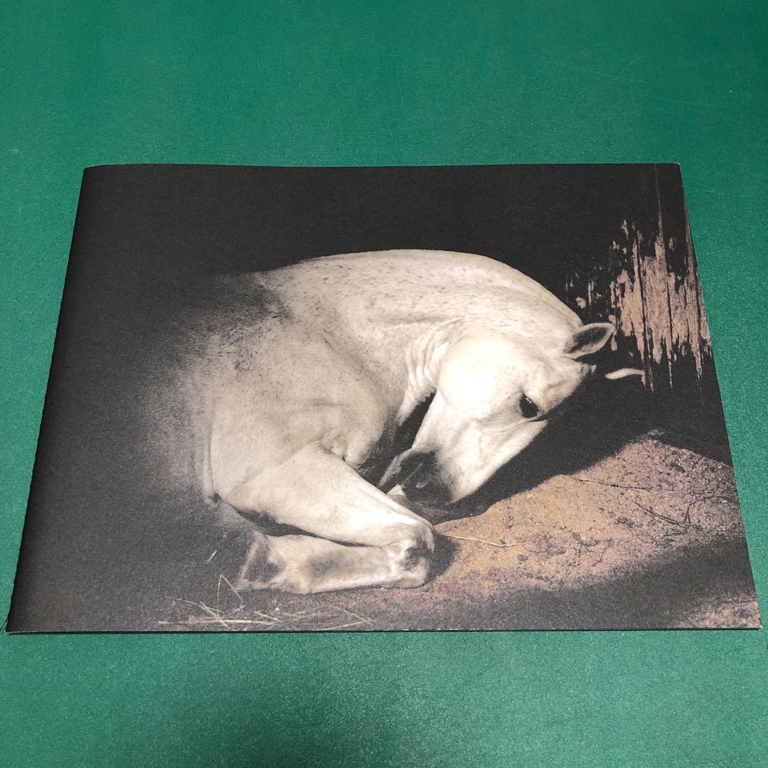 アート・デザイン・音楽 ANIMA by Charlotte Dumas ANIMA by Charlotte Dumas – twelvebooks