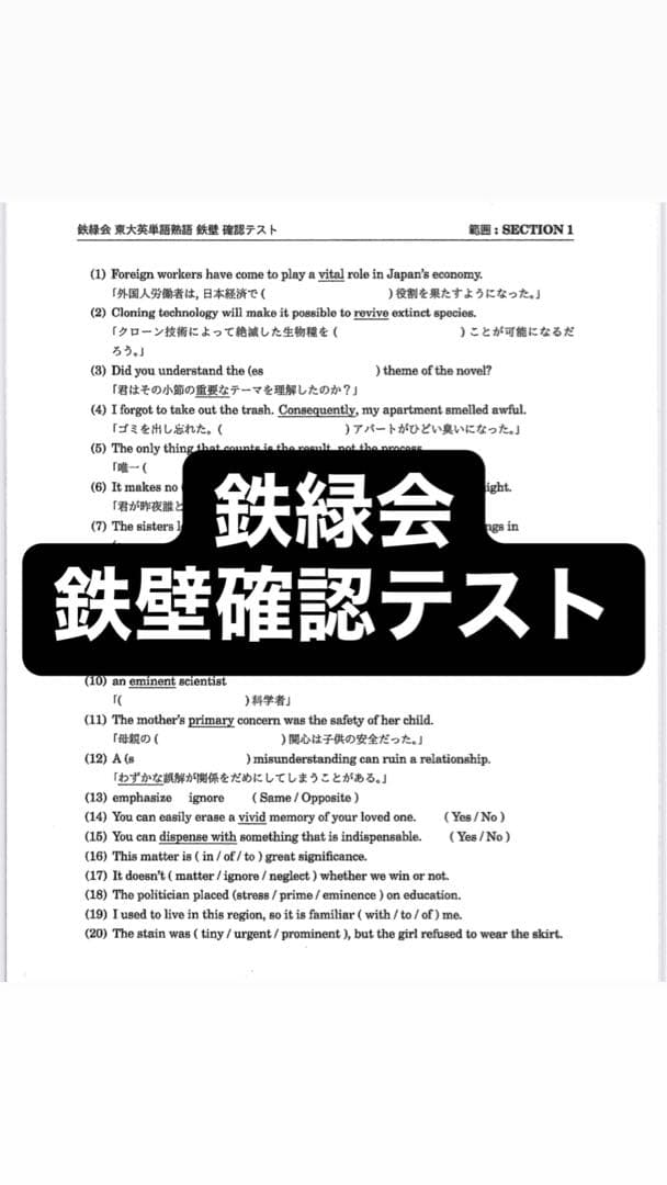鉄緑会 SA 東大英単語・熟語 確認テスト 全50ページ - メルカリ