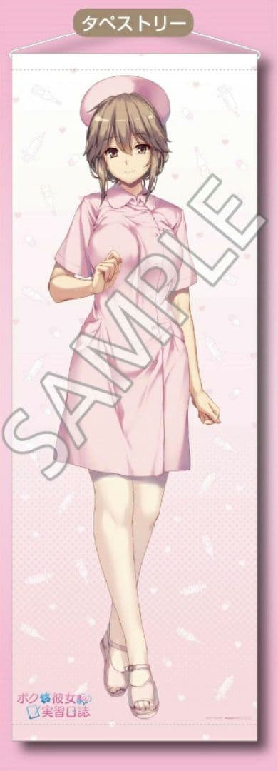 Switch ボクと彼女たちの実習日誌 限定版 店舗特典タペストリー付