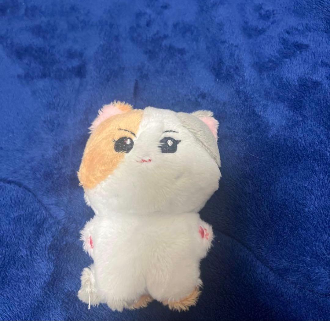 ENHYPEN ジョンウォン マスター ぬいぐるみ - メルカリ