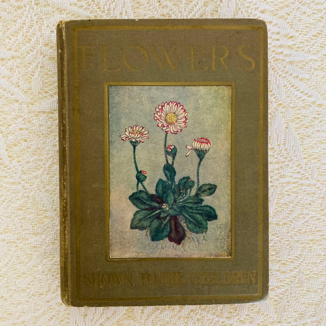 洋書 古書 アンティーク イギリスの植物図鑑 美しいカラー図版48点