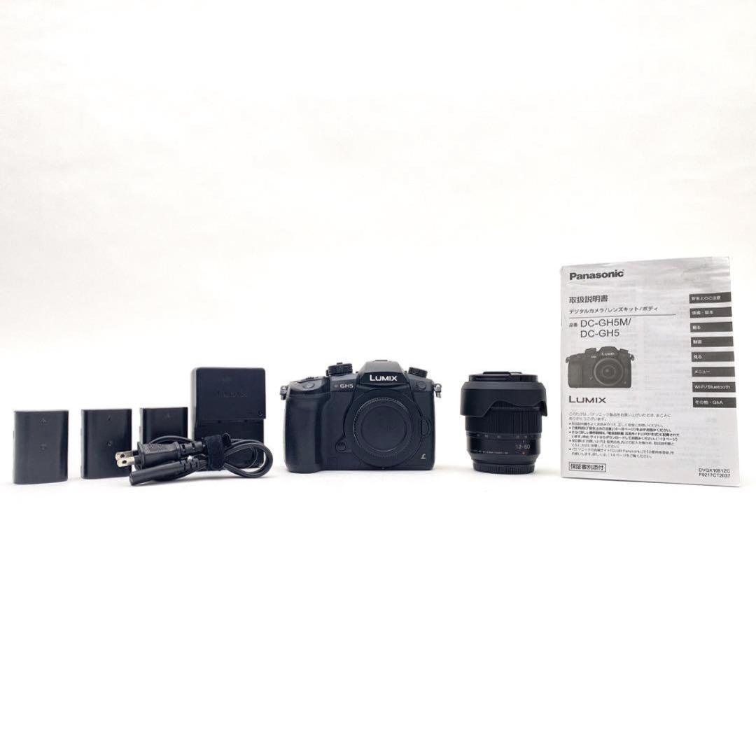 【並品】Panasonic パナソニック DC-GH5 レンズ付き LUMIX GH5 II ミラーレス一眼カメラ 標準ズームレンズキット DC-GH5M2M