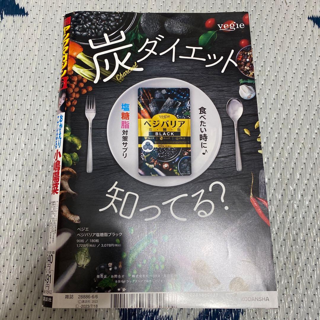 月刊ヤングマガジン付録 特攻の拓 美麗 魔覇裸邪 蝿王 特攻の拓