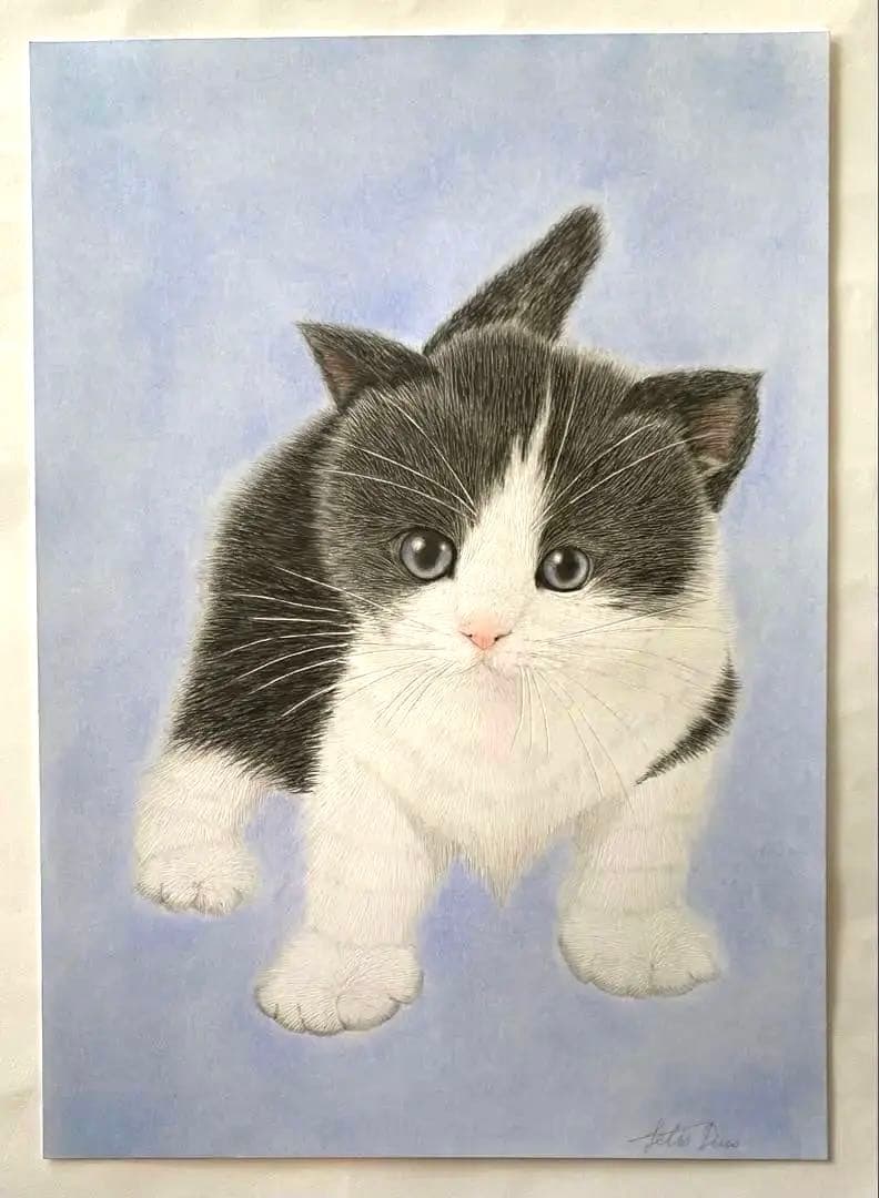 猫 色鉛筆画 ハチワレ子猫 A4サイズ - メルカリ