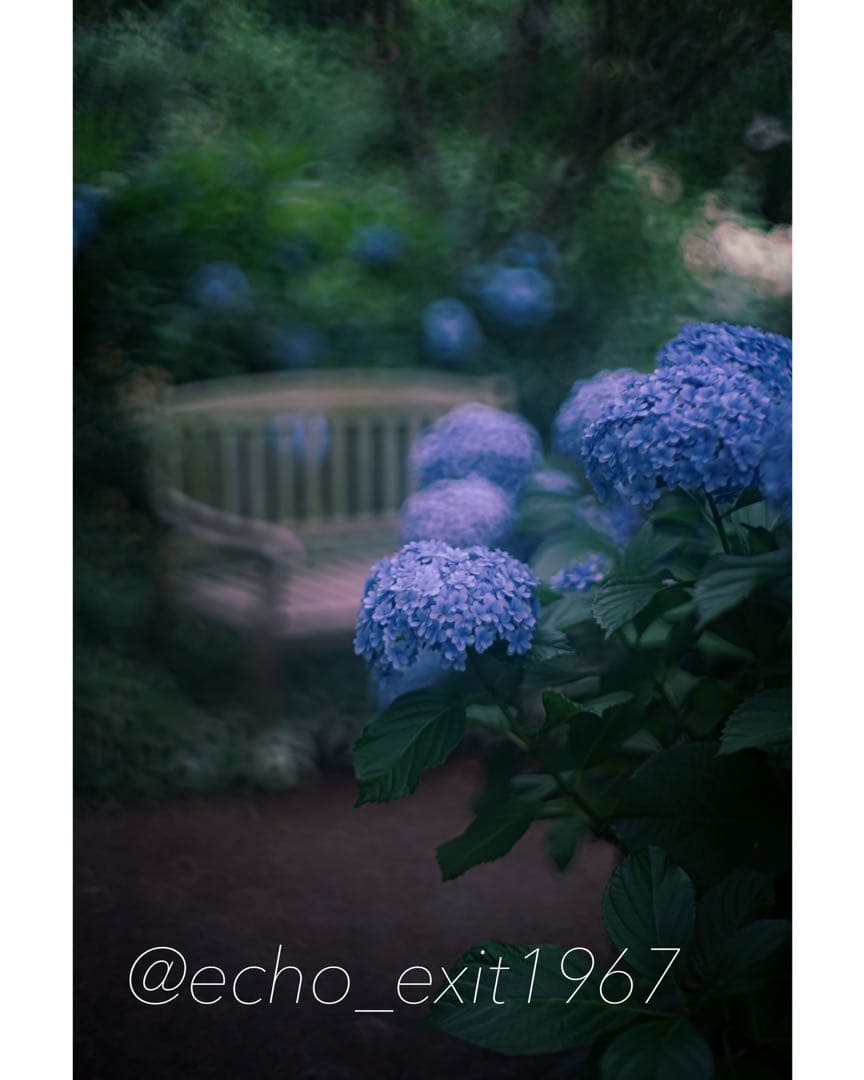 宝石レンズ_Super_Takumar_前期型 55mm_f1.8_aj - メルカリ