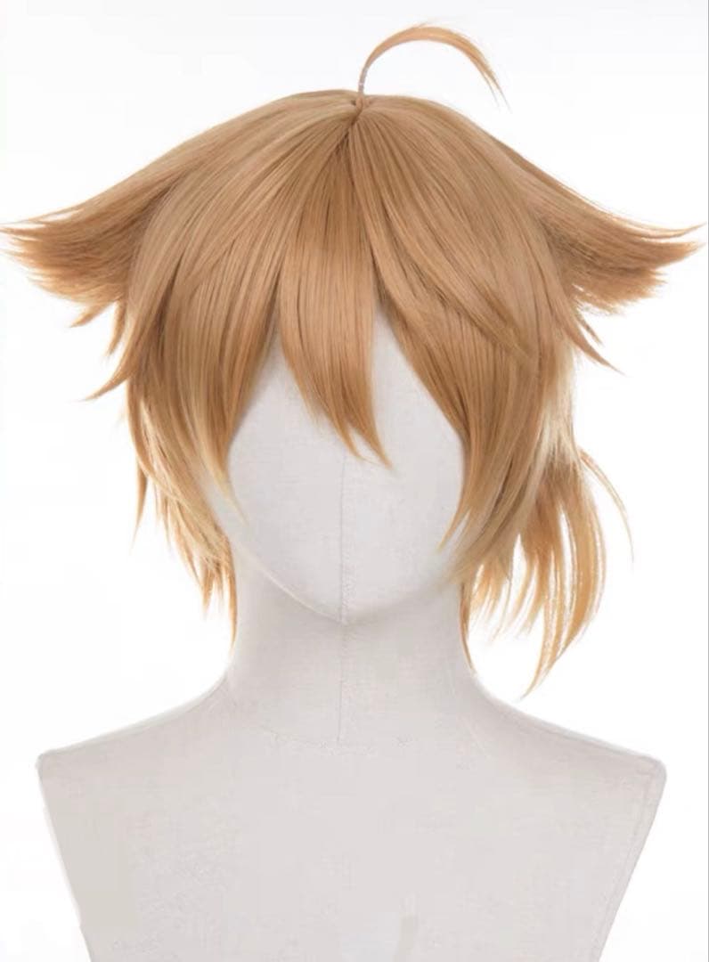 にじさんじ 伏見ガク ふしみがく ウィッグ コスプレ - メルカリ