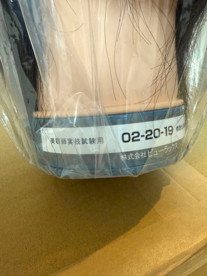国家試験用カットウィッグ6体セット - メルカリ