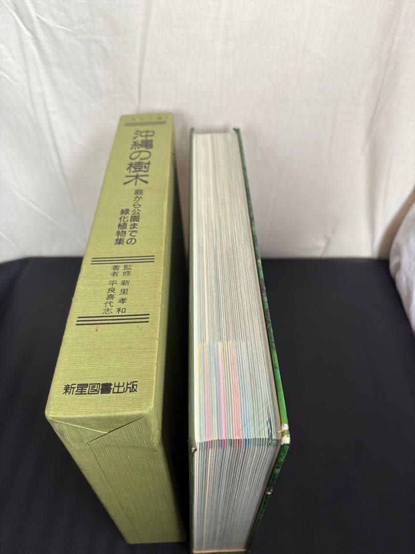 カラー版 沖縄の樹木 庭から公園までの緑化植物集 新興出版社