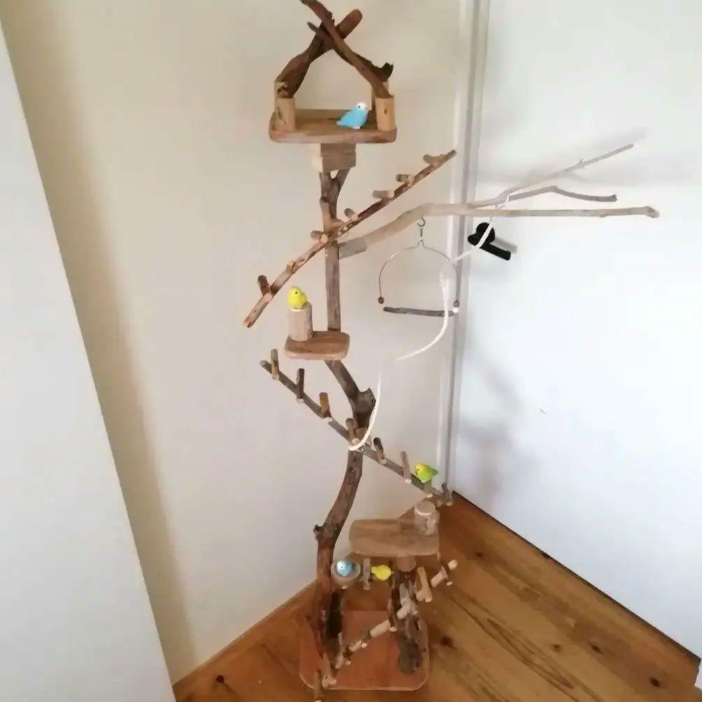 バードアスレチックジム㉛ 天然木 自然木 流木 止まり木 インコ遊び場