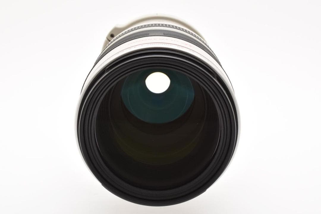 Canon EF 28-300mm F/3.5-5.6 L IS USM 現状