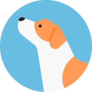 非売品・極希少】パテックフィリップ レザー キーリング カラトラバ 赤