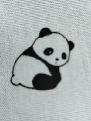 Dianaセルディア3箱+パーネ1箱計4箱コーン、ストロベリー、ショコラ