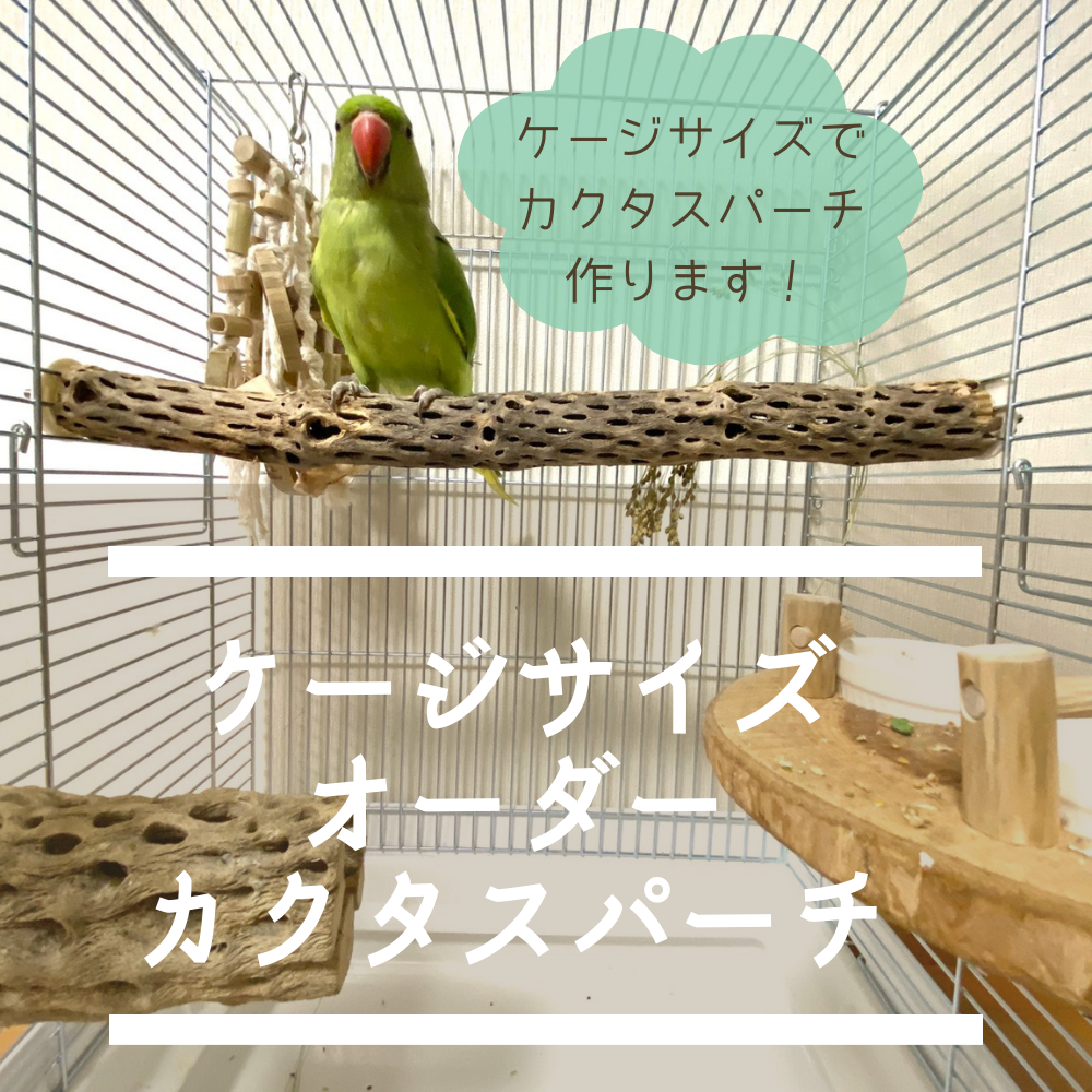 オーダー作成】ケージサイズでカクタスパーチ（サボテンの骨）鳥
