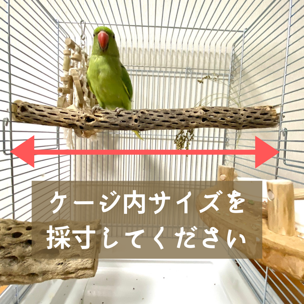 オーダー作成】ケージサイズでカクタスパーチ（サボテンの骨）鳥