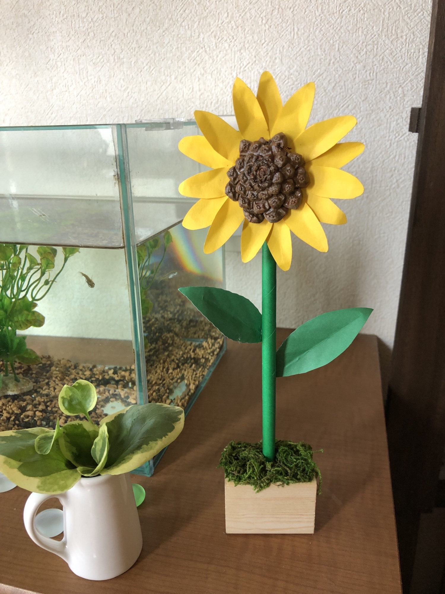 夏休み工作 紙と松ぼっくりで作るひまわり工作キット - ☆colorful